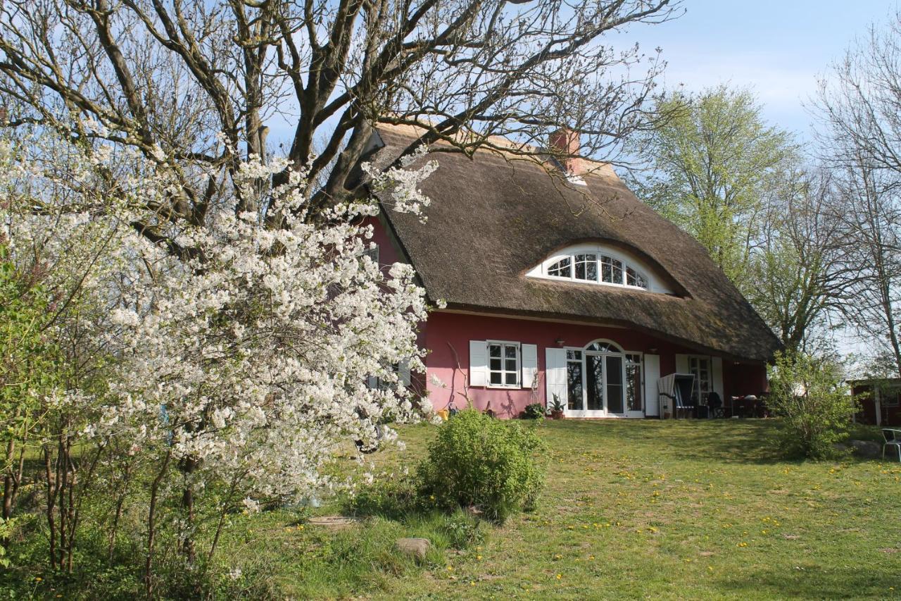 Altes Waschhaus Krakvitz Lägenhet Putbus Exteriör bild
